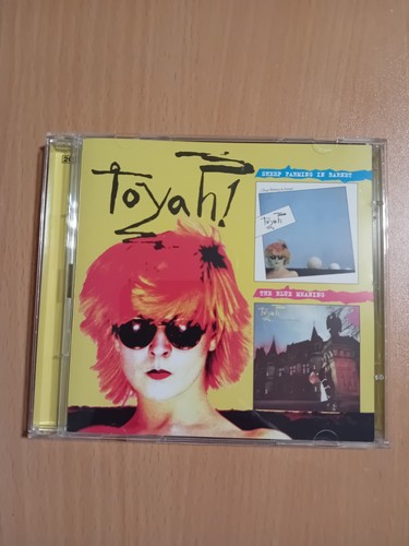 Toyah sheep farming - sheep,