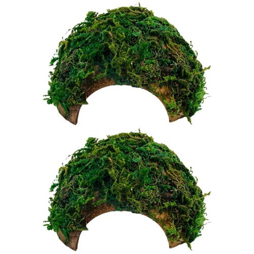 Set reptile hide hamster - reptile,