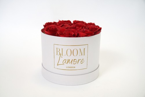 Large luxury white - large,