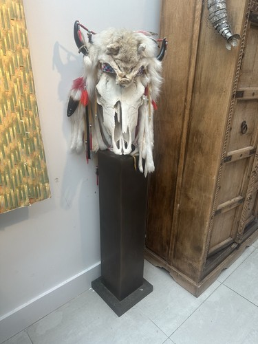 Animal skull and authentic - animal,