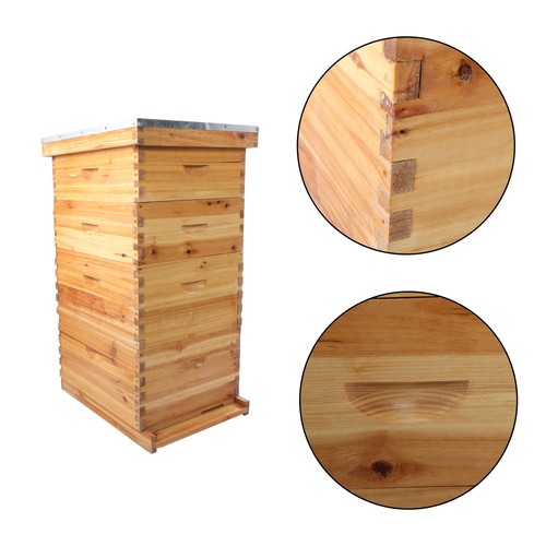 Layer complete beehive box - layer,