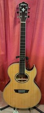 Washburn Electro Acoustic