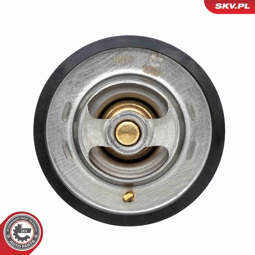 Fits skv germany - fits,