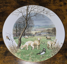 Royal Worcester Limited Ed