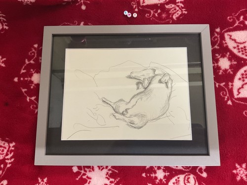 Rare edition sketch - edition, art