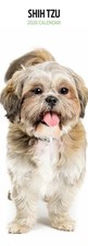 Shih Tzu 2026 Slim Calendar