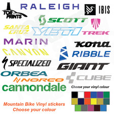 Medium Mountain Bike Biking