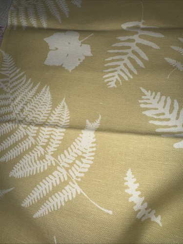 Vanessa arbuthnott fern - vanessa,