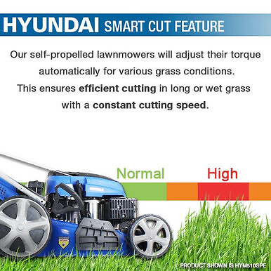 Hyundai 53cm 196cc - hyundai,