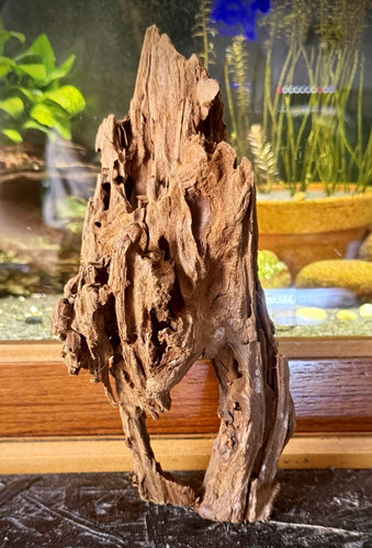 Aquarium driftwood 24cm - driftwood,