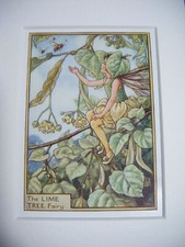 Vintage Flower Faires Print &