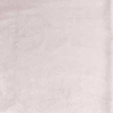 Plain Plush Velvet Fabric