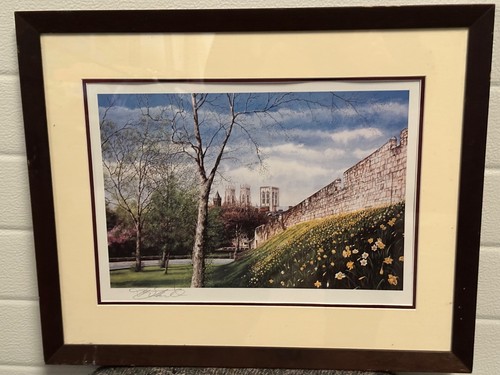 The city walls in - york),