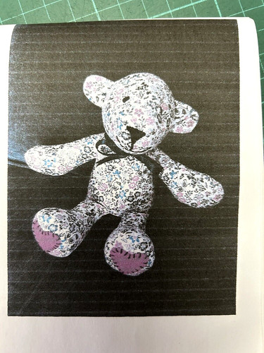 Cute teddy bear - teddy,