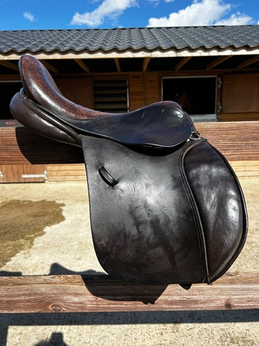 English leather pony - english,