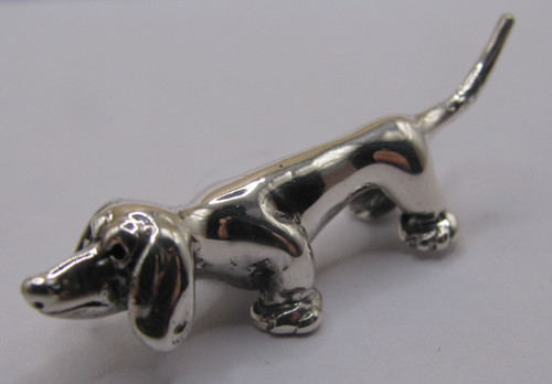 Sweet miniature dachshund - sweet,