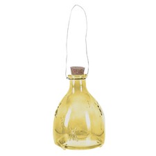 Glass Wasp Trap Hanging Fly