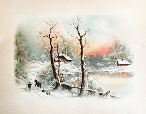 Winter scene farm pond - winter,