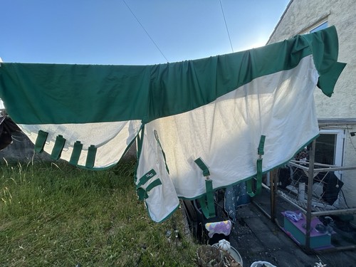 Premier equine shower - premier,