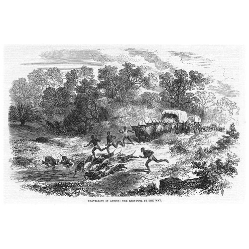 Wagon train travelling - wagon,