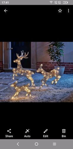Christmas reindeer family - christmas,