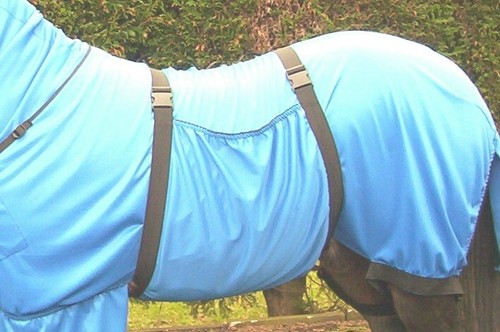 Sweet itch belly - belly, /
