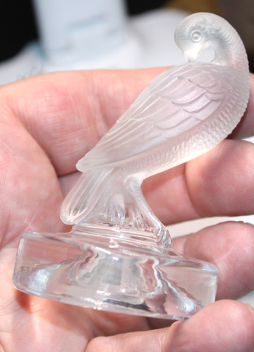 Preening turtledove crystal - turtledove,