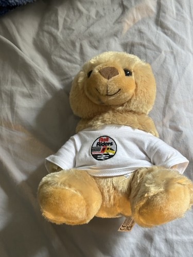 Rail riders train teddy - teddy, bear