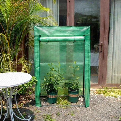 Tomato greenhouse reinforced - greenhouse,