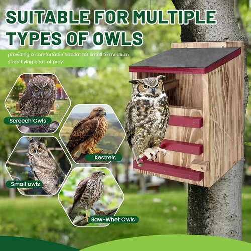 Waterproof wood owl - wood, house
