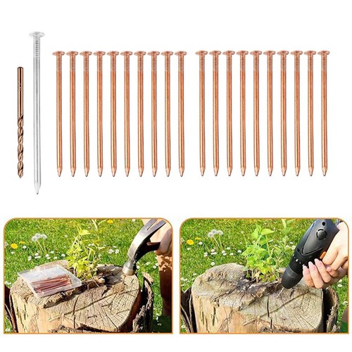 Copper nails for tree - for,