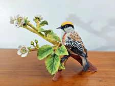 Beautiful RSPB Franklin Porcelain Chestnut-Sided Warbler Bird Figurine