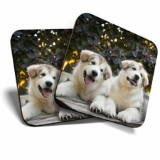 2 x Coasters - Alaskan