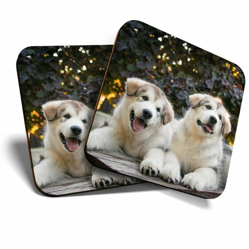 Coasters alaskan - x,