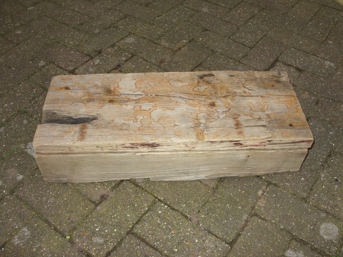 Large driftwood piece - large,