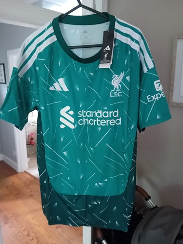 Liverpool adults green - l, shirt