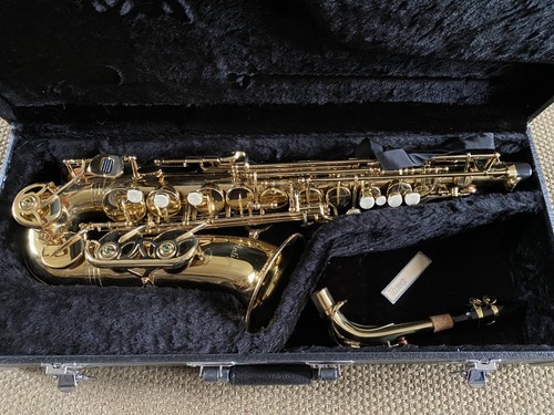 Antuiga wwx510 alto saxophone - antuiga,