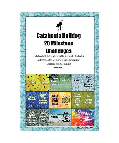 Catahoula bulldog milestone - catahoula, 20