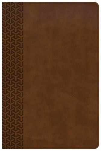Everyday study bible - bible, :