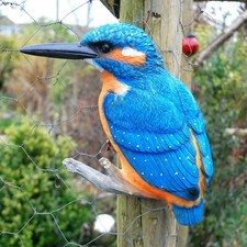 Kingfisher Bird Large Wall Mountable Garden Ornament Outdoor Animal Statue