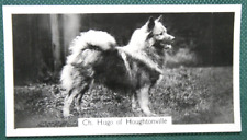 KEESHOND   Show Champion   Vintage 1939 Photo Card  CE12