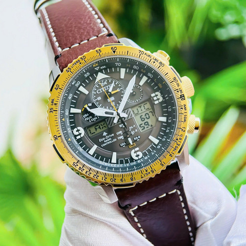 Citizen promaster world time - citizen,