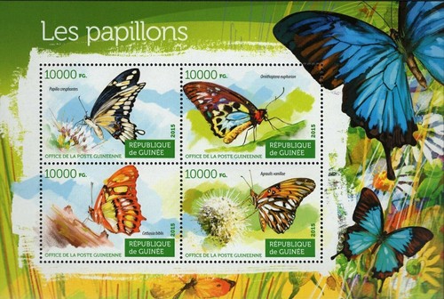Butterflies stamp ornithoptera - butterflies,
