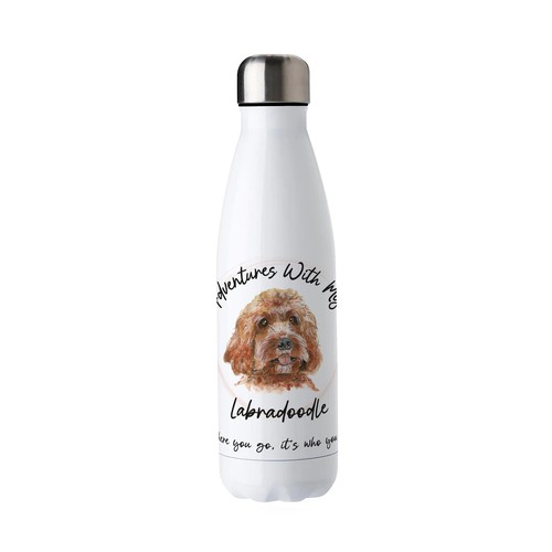 Adventures with labradoodle - adventures,