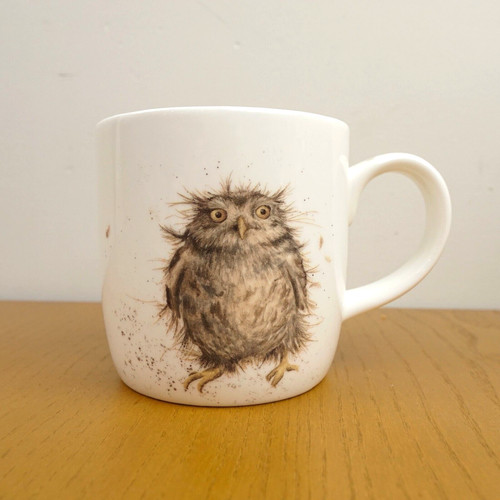 Owl coffee mug - owl, cup