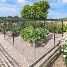 Harrier Walk In Fruit Cage | STURDY FRAME/20MM BIRD NETTING | Plant & Veg Cover