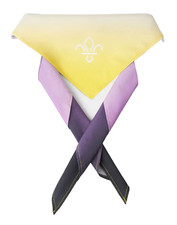 BOY SCOUTS PRIDE NON-BINARY