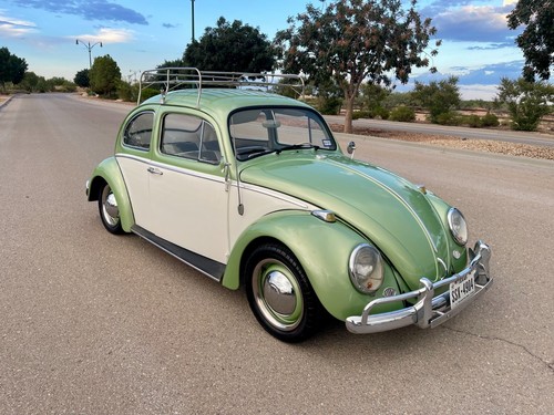 1964 volkswagen beetle - beetle,