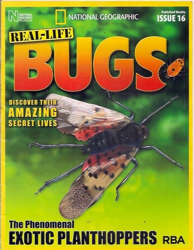 Real life bugs - real-life,