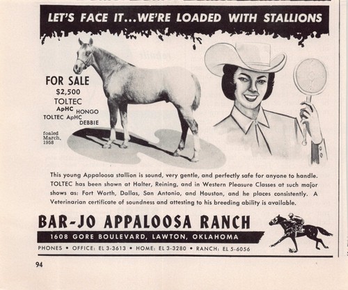 Cowgirl graphics horse racing - cowgirl,